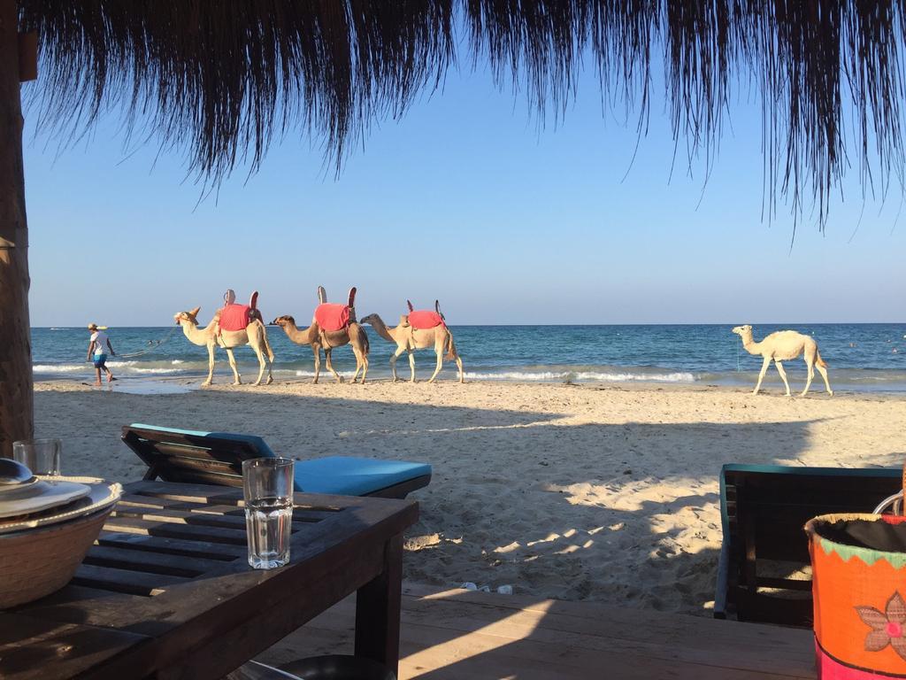 Hotel Djerba Orient Mezraia Buitenkant foto